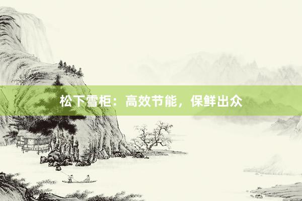 松下雪柜：高效节能，保鲜出众