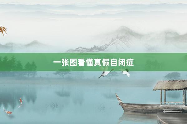 一张图看懂真假自闭症