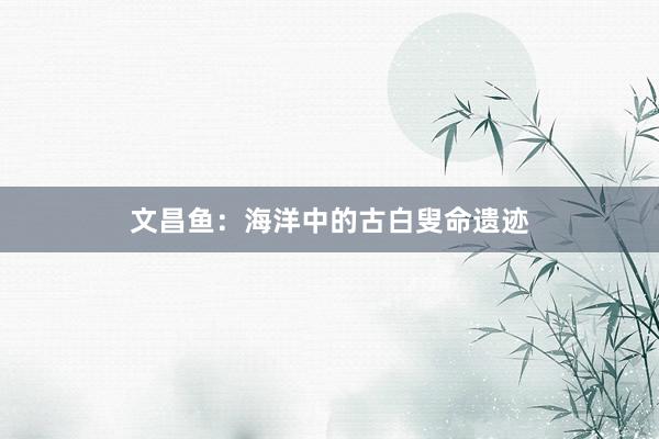 文昌鱼：海洋中的古白叟命遗迹